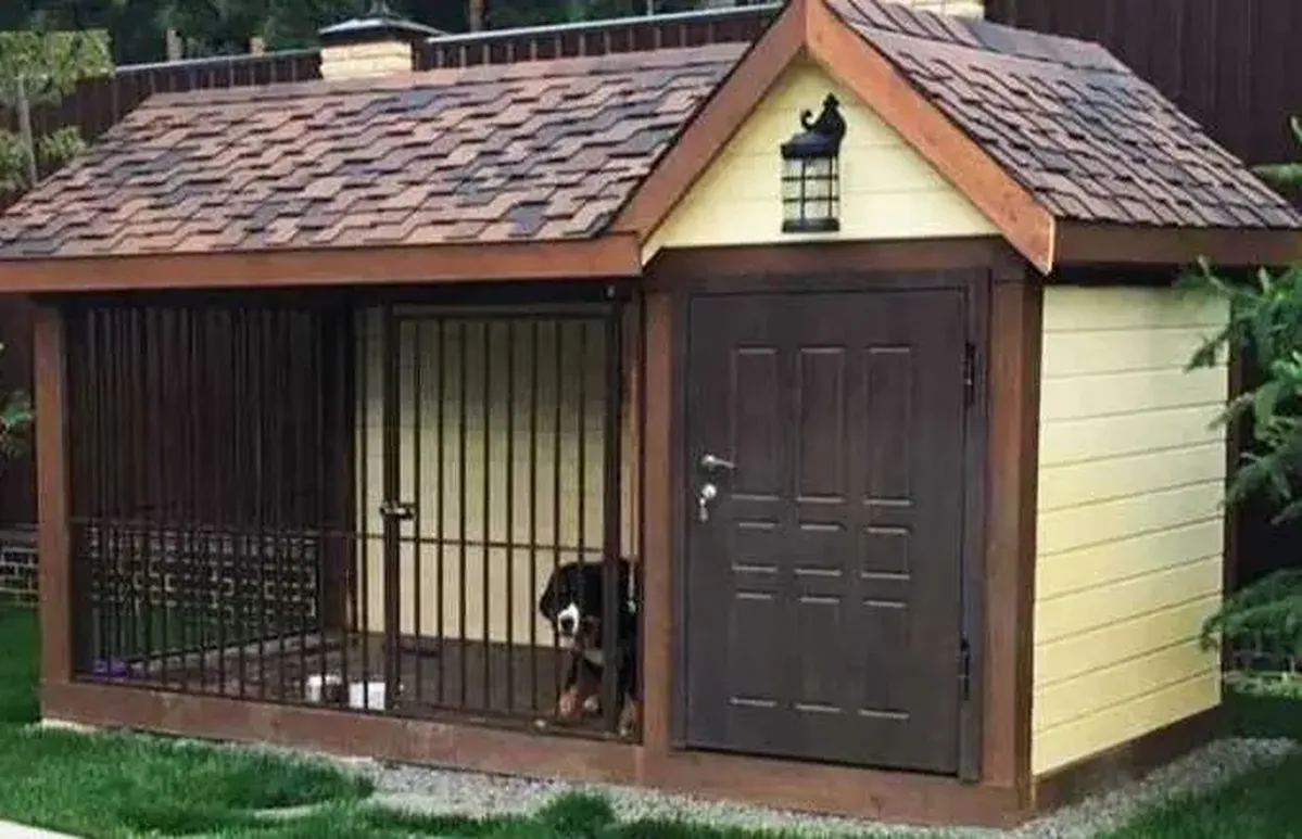 дома для собак на улице фото